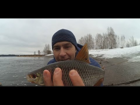 Видео: Ловля плотвы на Трояновском сбросе в начале весны на поплавочную удочку.