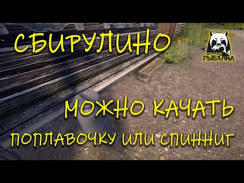Видео: Русская рыбалка 4 рр4 Как качать поплавочку или спиннинг через сбирулино