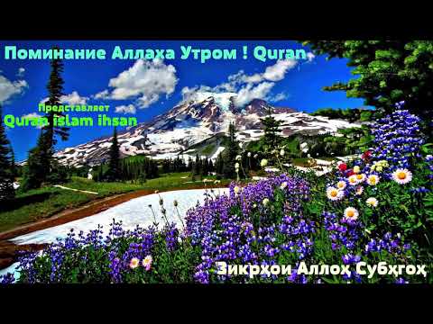 Видео: Утренние и вечерние зикры