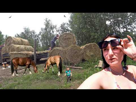 Видео: В ТАКИЕ МОМЕНТЫ ЛУЧШЕ МОЛЧАТЬ! МУЖ СЛОМАЛ ВСЕ ЗАБОРЫ.  ПРИВЕЗЛИ ТОННЫ СЕНО. ЖИЗНЬ В ДЕРЕВНЕ