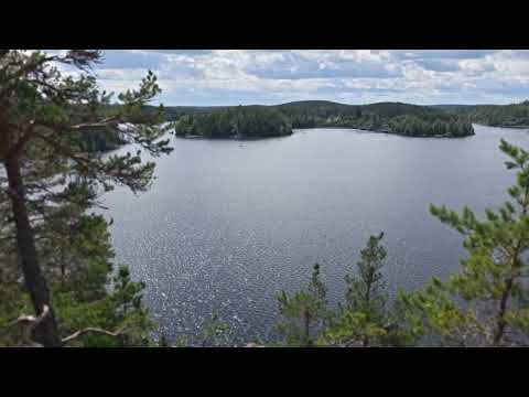 Видео: Ладожское озеро Якимварский залив сезон 2025 LADOGA