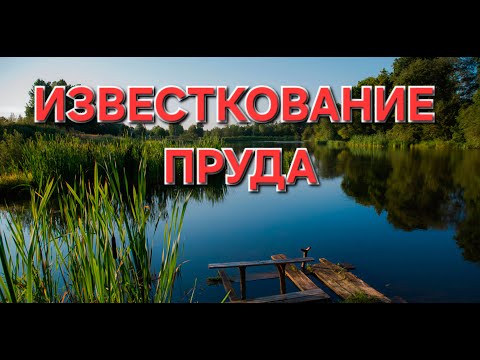 Видео: Дезинфекция пруда перед зимой! Вношу в пруд негашеную известь.