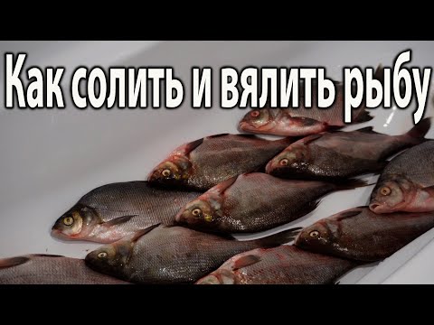 Видео: Как солить и Вялить Рыбу рабочий способ вялить речную рыбу 2025, посол рыбы в домашних условиях 2025