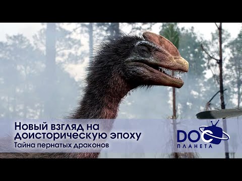 Видео: Новый взгляд на доисторическую эпоху - Часть 2.Тайна пернатых драконов - Документальный фильм