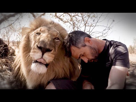 Видео: Эмоциональное последнее видео для FIGHTER LION | Заклинатель львов