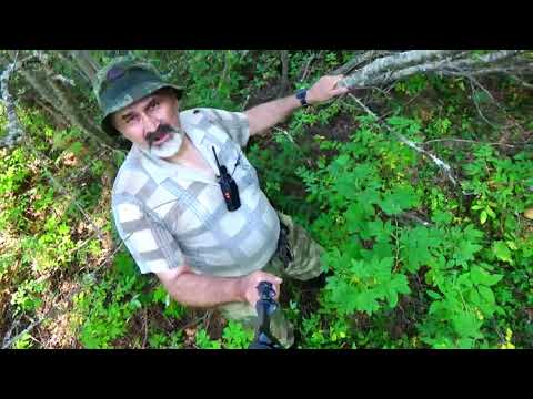 Видео: Поймать карася в жару #2 Установка