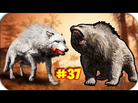 Видео: ЖЕСТОКОЕ НАПАДЕНИЕ СТАИ ВОЛКОВ - Far Cry Primal #37