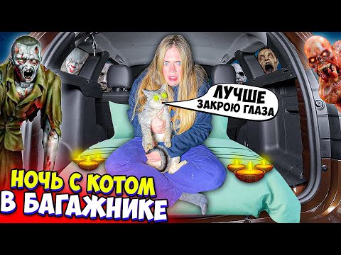 Видео: НОЧЬ С КОТОМ В МАШИНЕ! НАС ЗАПЕР ЗЛОЙ КЛОУН НА 13 ЧАСОВ...