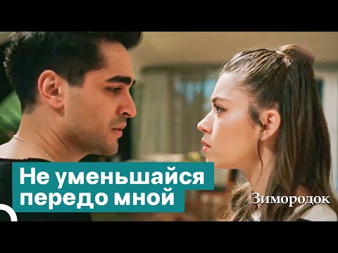 Видео: Как ты мог использовать моего отца для драки? | Зимородок