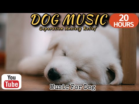 Видео: 20 часов любимой музыки собак🐶💖Музыка для сна собак 🐶🎵 Музыка для снятия беспокойства при разлуке🎵