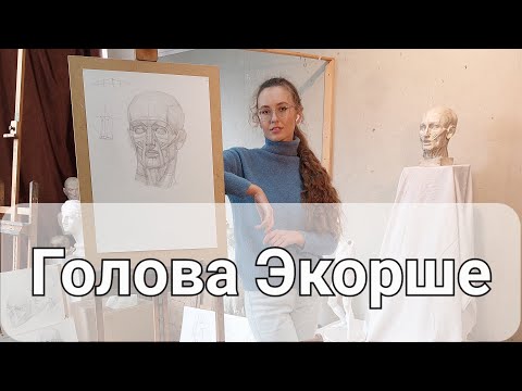 Видео: Голова "Экорше" Гудона