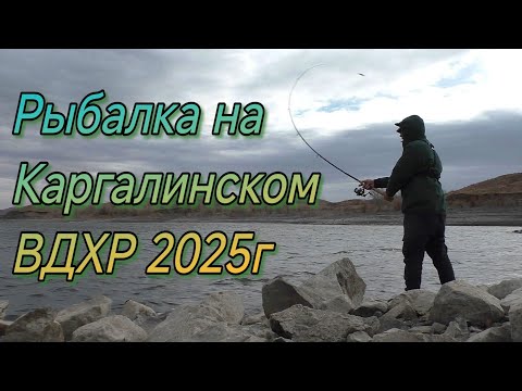 Видео: Каргалинское ВДХР не хочет с нами делится 1-0 не в нашу пользу  г Актобе 2025г