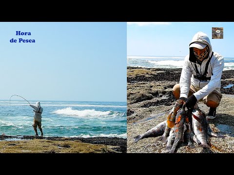 Видео: ШКОЛА CABRILLAS с ПРИМАНКАМИ. || Каждый бросок поймать.