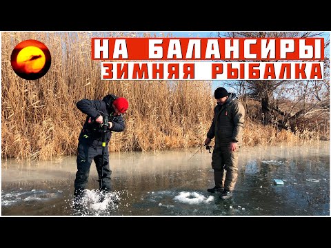 Видео: Зимняя Рыбалка на Балансиры / Окунь Жаркой Зимой