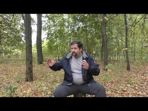 Видео: Наше сознание нас обманывает