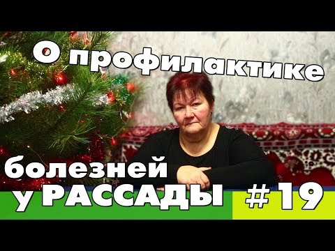 Видео: Профилактика болезней у рассады. Когда нужно делать🌱