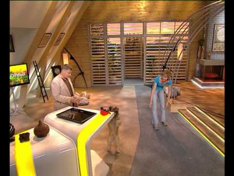 Видео: Диалоги о Животных. Дрессировка. S01E05