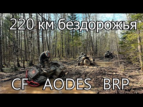 Видео: 220 км бездорожья CF, AODES, BRP