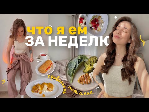 Видео: ЧТО Я ЕМ ЗА НЕДЕЛЮ? простые рецепты, *правильное питание*, спорт, ограничения || 2024