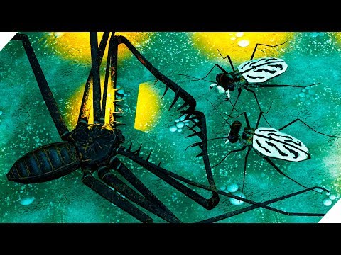 Видео: ОГРОМНЫЙ ЖУК против насекомых. Битва жуков. Игры 2019
