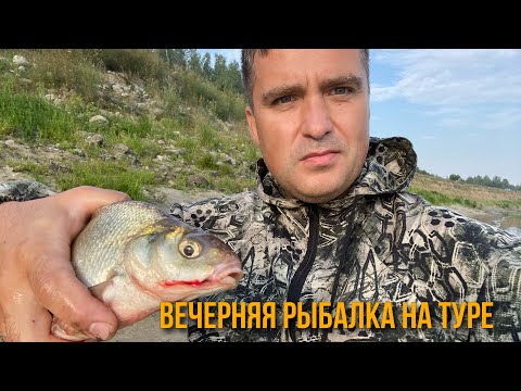 Видео: Рыбалка в Тюмени. Вечерняя рыбалка на Туре.