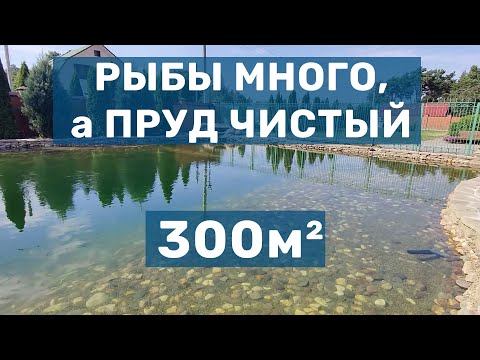 Видео: Много рыбы, но Прозрачная вода. Грамотная переделка пруда и системы фильтрации