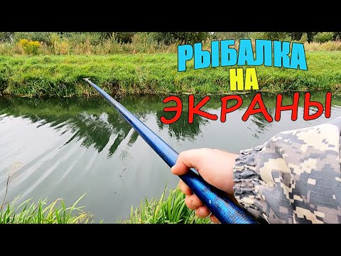 Видео: РЫБА ПОШЛА!!! Удачная Рыбалка На Экраны.