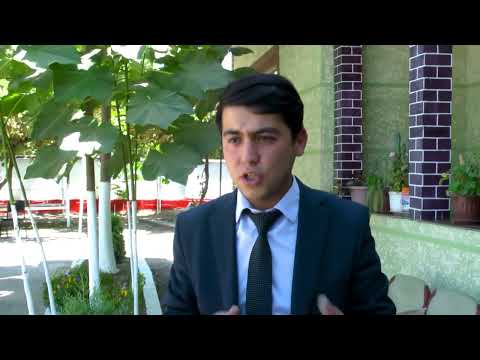 Видео: Иттилоъот дар бораи дарахти павловния