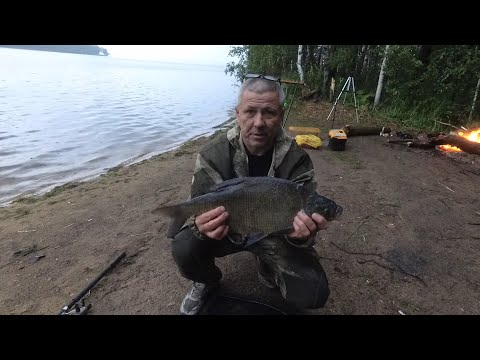 Видео: БЕЛОЯРСКИЙ ЛЕЩ В НЕПОГОДУ///ФИДЕР///