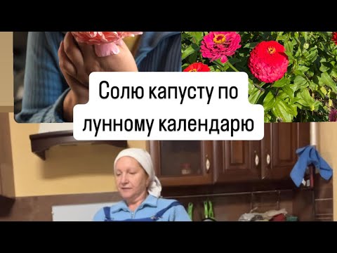 Видео: Солю капусту по лунному календарю.Летний домик с баней.