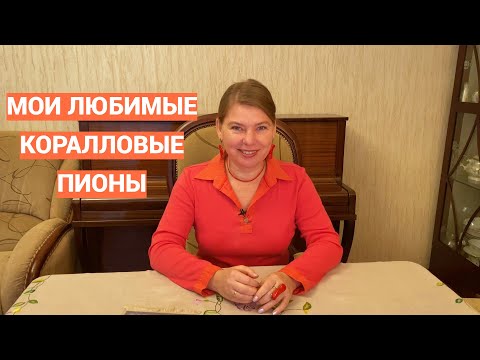 Видео: Самые красивые коралловые пионы