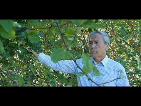 Видео: ТАРИМ ансамбли - "Сеhилар".