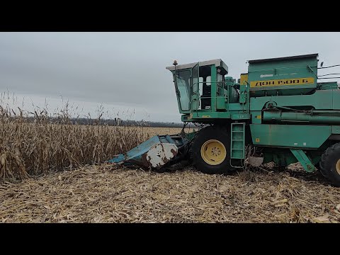 Видео: Кукурудза КВС 2370.Найкращий гібрид 2025р. 