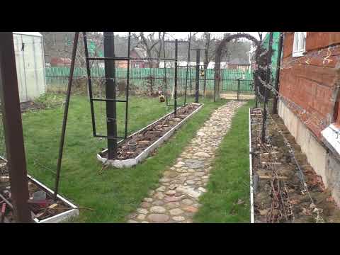 Видео: Виноград на участке. С чего начать