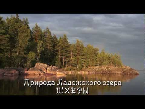 Видео: Природа Ладожского озера - Шхеры. Александр Травин