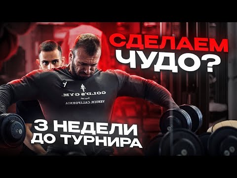 Видео: 3 НЕДЕЛИ ДО ТУРНИРА | сможем сделать чудо?