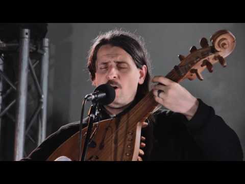 Видео: Хорея козацька   Роже слічная