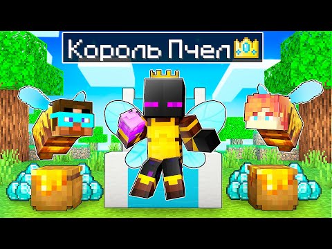 Видео: ✅ Майнкрафт, но Райм Король ПЧЕЛ!