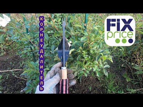 Видео: КОРНЕУДАЛИТЕЛЬ из FIX PRICE. Обзор.