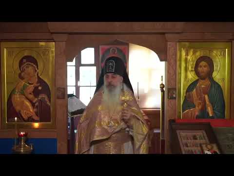 Видео: Маги, индиго и трансгендеры!!! #СхиигуменГАВРИИЛ (Виноградов-Лакербая) #КавказскийскитВалаама