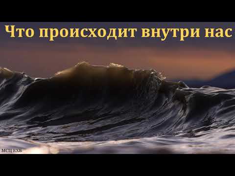 Видео: "Если бы мы судили сами себя". И. Л. Липатников. МСЦ ЕХБ