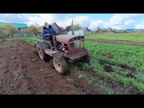 Видео: Вспашка огорода самодельным трактором. Запахиваем сидераты - озимую рожь