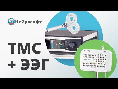 Видео: ТМС — ЭЭГ: особенности регистрации вызванных потенциалов во время ТМС | Вебинары Нейрософт