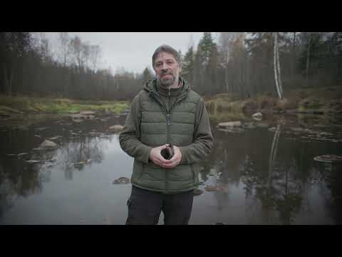 Видео: CANON R8. Особенности, съёмка, проявка...