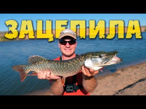 Видео: Ловля щуки осенью на спиннинг с берега / Рыбалка на реке