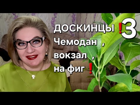 Видео: ДОСКИНЦЫ❗️Чемодан ,вокзал, на фиг❗️