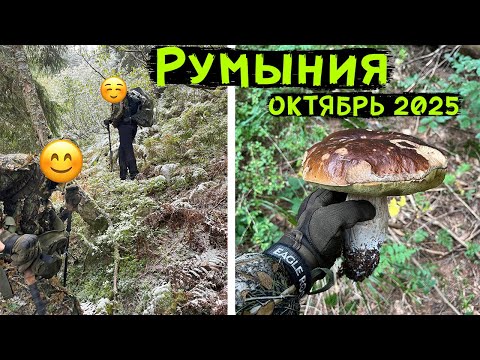 Видео: #323 Пошел снег и мы уже начали замерзать, пришлось использовать спасательное одеяло.