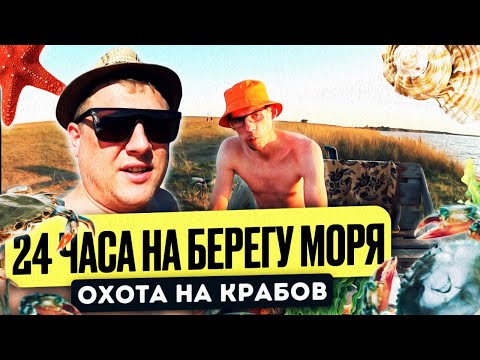 Видео: 24 ЧАСА НА БЕРЕГУ МОРЯ! ОХОТА НА КРАБОВ И КРЕВЕТОК РУКАМИ!