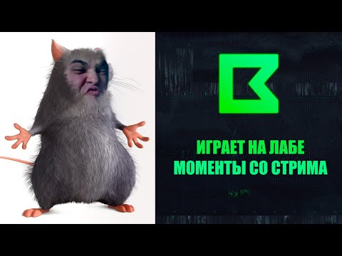 Видео: Стал лаба плеером чтобы найти GPhone | Моменты со стрима