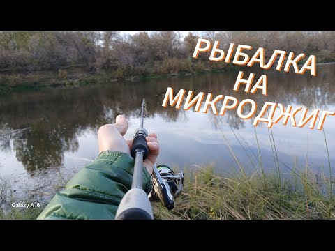 Видео: РЫБАЛКА НА МИКРОДЖИГ И КРЕНКИ/#рыбалка #fishing #спінінг #рыбалканаозере #спиннинг #щука #окунь 